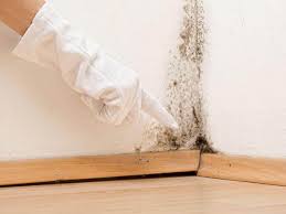 Best Environmental Consulting for Mold Prevention in Reedley, CA